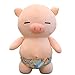 LIUCHANG Jouet en Peluche - Coussin de Porc Jouet en Peluche Tenant poupée de Couchage Super Mignon 27cm 45cm 56cm 89cm (Taille: 45cm) liujiapeng55 (Size : 27cm)