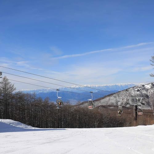 湯の丸スキー場 リフト1日券(全日) | 長野県 東御市 湯の丸高原 スキー チケット リフト券 引換券