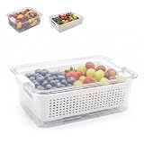 OCEANO Contenitore per Alimenti con Scolapasta Integrato Scatola Salva Freschezza per Frigorifero Organizer Frigo Trasparente con Cestello Estraibile per Frutta Verdura 31x20.5x10.5cm