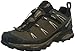 Salomon Men's X Ultra LTR GTX Hiking Shoe
