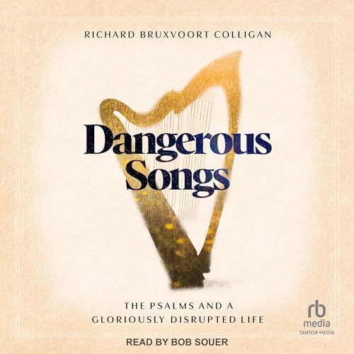 Dangerous Songs Audiolivro Por Richard Bruxvoort Colligan capa