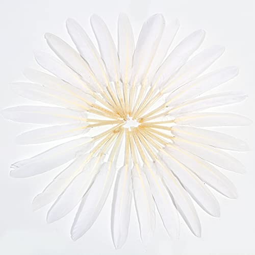 Feelfunfeather 120Pcs White Goose Cochettes Feather Natural Bulk 4-6 Inch 10-15Cm For Wedding Party Christmas Halloween Decorations Diy Crafts Goose Cochettes Feather #TOP2