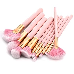ARALOR Makeup Brushes Set 10 pcs Pink Wood Handle Soft Nylon Bristles Kabuki Makeup Brush Cosmetic Brushes Eyeshadow Eyeliner Blush Brushes