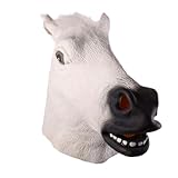 TOYANDONA