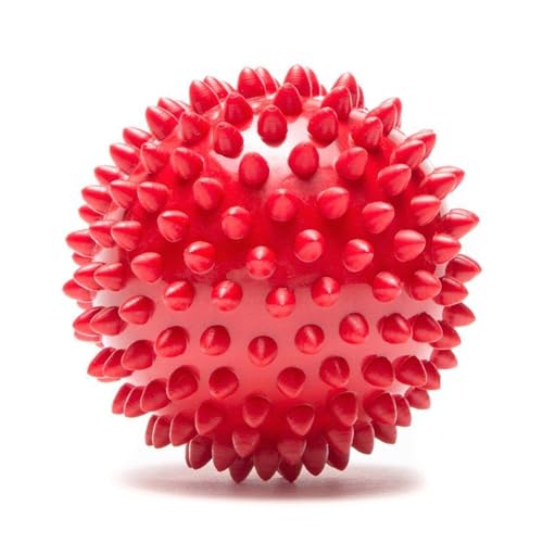 Image of Non-Toxic & Durable Chew Toy for Playing, Teething & Training, Hard Squeaky Chew Silicon Ball Toys for Dogs, Squeaky Toys for Dogs, Ball for Dogs (Red)