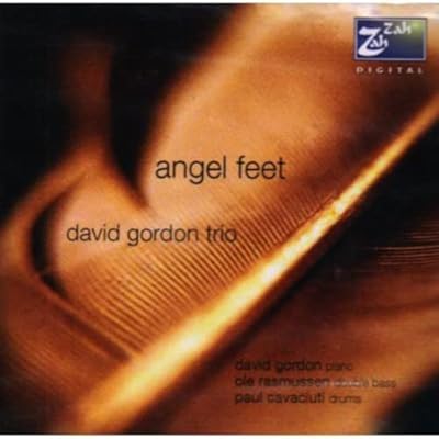 David Gordon, Fisher: Angel Feet