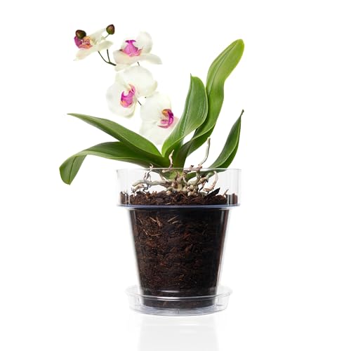 Miniatura 2 de Kalapanta Kit Para Trasplantar Orquídeas: 1 Maceta Transparente Ø16cm Con Agujeros De Drenaje, 1 Plato Ø14cm, 1 Saco De 2l De Tierra Específica Para Orquídeas