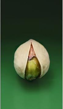 D.S.&DURGA Pistachio 1.7 fl oz 50 ml