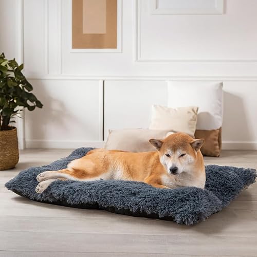 [JUI3N] _[NO[ pxbh 􂦂  L xbh NbV 80*55CM \t@ ^ ybgNbV ybgxbg ybg\t@ ^ 킢  Vv ӂӂ Ȃ  ybgpi I[V[Y Mtg 