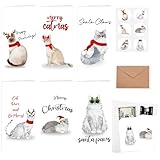 SolarGlory 30 Pcs Christmas Money Holder Cards with Envelopes Funny Christmas Cat Card Set for Cash Gift Tri-Fold Design with 6 Feline Designs for Family Colleague Holiday Gifting Party Decorations