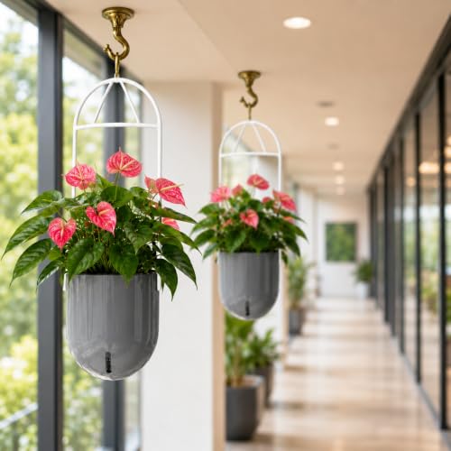 Image of Indian Discovery Self Watering Ceiling Hanging Planter|Hanging /Hooked Flower Pots for Home, Balcony, Vertical Garden Decor Flower Pots(2 PC,Grey,Sphere)|6 Inch UV-Resistant Plastic Plant Pots