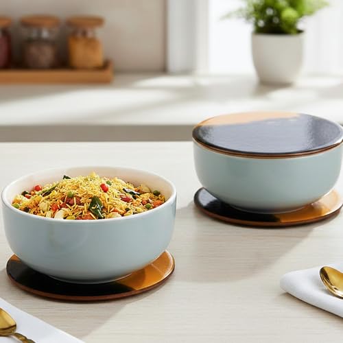 Image of The Earth Store Grey Mellow Ceramic Bowl With Lid /Coaster Set of 4, 450 ML Each | Dishwasher & Microwave Safe Serving Bowls for Snacks, Dal, Pasta, Vegetables and More | Perfect for Gifting, Daily Use