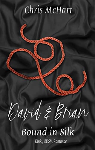 David & Brian (Bound in Silk 5) (German Edition)