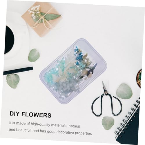 Kit de flores secas para manualidades Cabilock miniatura 4