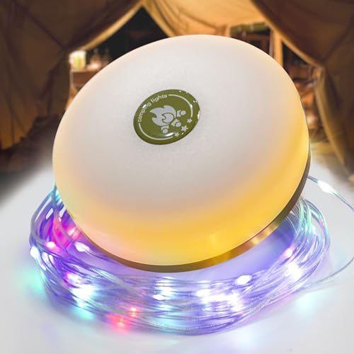 ELLASAY Camping Lichterkette, Außenlichterketten mit 8...