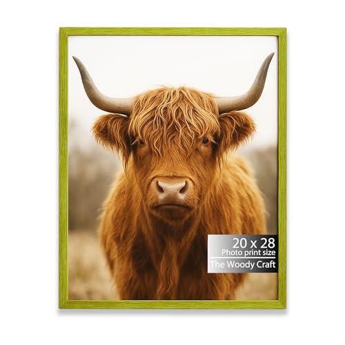 Image of 20x28 Photo Frame | Green Photo Frame For Wall | Trendy Wall Frame | Wooden Photo Frame For Living Room | Smart Big Photo Frames For Wall | Ideal Frames For Bedroom Wall Decor