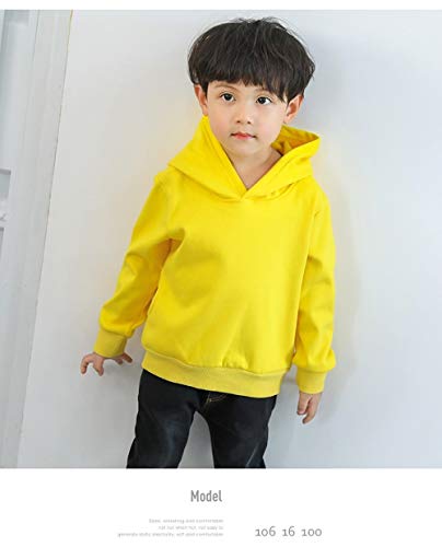 Moletom infantil de lã quente com capuz para meninos e meninas de 2 a 10 anos, infantil, meninas e m