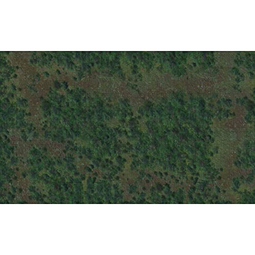 WizKids D&D Icons of The Realms Forest Battle Mat – Bild 7