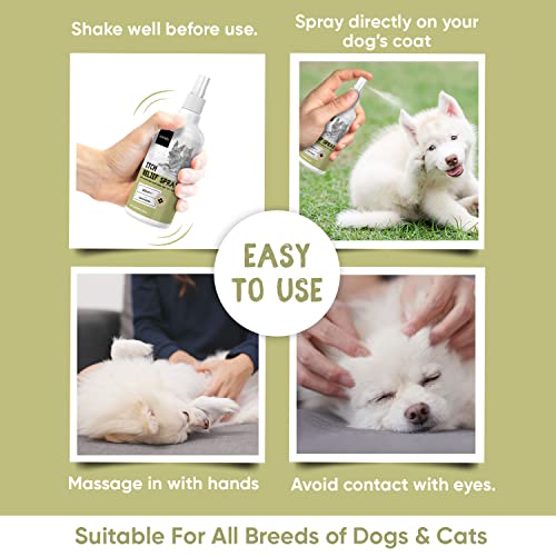 Cat & Dog Itchy Skin Relief Spray With Pure Aloe Vera, Tea Tree & Castor Oil - Natural, Lick Safe Itchy Dog Relief -Anti-itch Cat Spray and Itchy Dog Skin Relief For Allergies & Hot Spots -250ml - Image 5