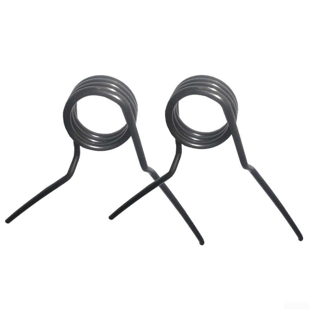 Set di 2 molle per smontagomme per pneumatici, valvola pneumatica, molla di tensione per cambio pneumatici, molla di ritorno, valvola pneumatica