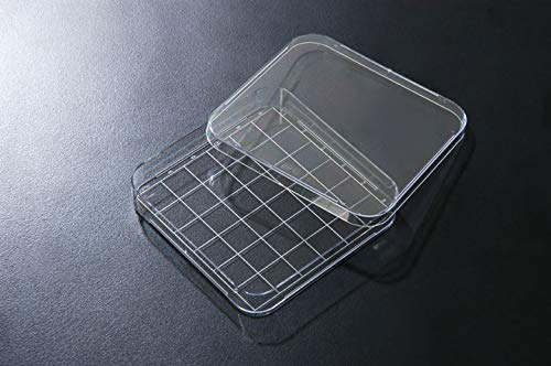 SPL Square Dish PS Area 139 cm2 Sterile TC Treated Case of 60