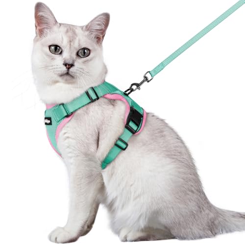 Image of rabbitgoo Cat Harness and Leash Set, Escape Proof Vest, Green & Pink | Soft Breathable Mesh, Easy Adjustable Fit, Snap Buckles, Sturdy Clip, Reflective Strips, for Medium to Large Cats Walks, M