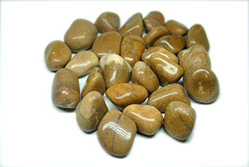 Image of Pebbles for Decoration - Pebbles for Plants Pots - Decorative Stones and Pebbles (1.9 Kgs, Brown Pebbles)