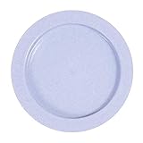 Maddak Inner-Lip Plastic Plate, Light Blue (745310001)