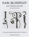 Karl Blossfeldt: Art Forms in Nature