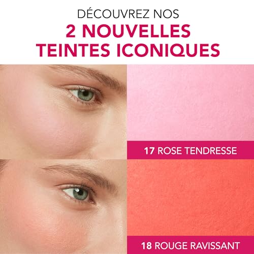 BOURJOIS - Boîte Ronde Blush 15 Rose Eclat - Piceau & Miroir Intégré - Technologie Fard Cuit - Texture Fine & Légère - Facile À Estomper - Parfum Gourmand