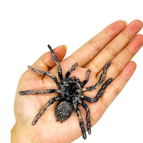 QIZHIQIAMY Halloween Spider Spider Halloween Fake Spider Realistic Fake Spider Decorations Plastic Spider Realistic Scary Spider Halloween Decorations for Home Office Party (A)
