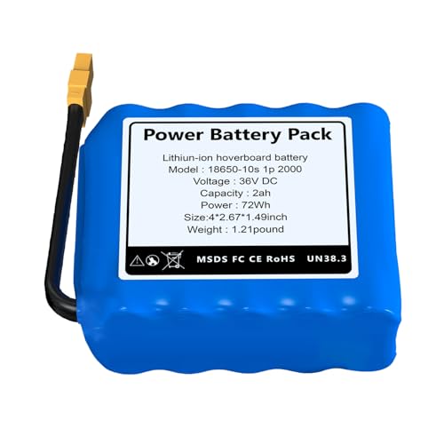 CASFROM 36V (Fit 42V) 2Ah Replacement Battery for Hover-1, Jetson,