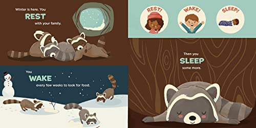 You Are a Raccoon! (Meet Your World) - Image 6