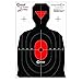 Caldwell Dual Zone Flake Off Target (25-Pack)