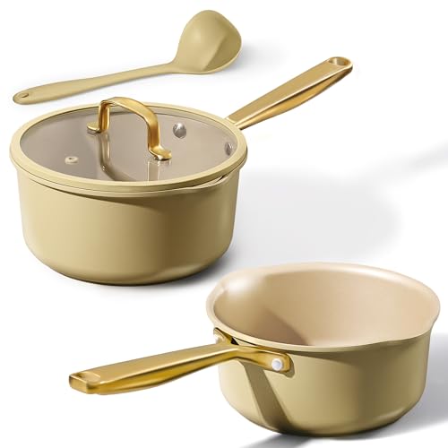 CAROTE 2Qt & 3Qt Nonstick Sauce Pan Set, Saucepan with Durable Cast Steel Handle, Oven-Safe, PFOS PFOA Free, Compatible with Gas/Electric/Induction Stovetops, Dishwasher Safe, Aluminum