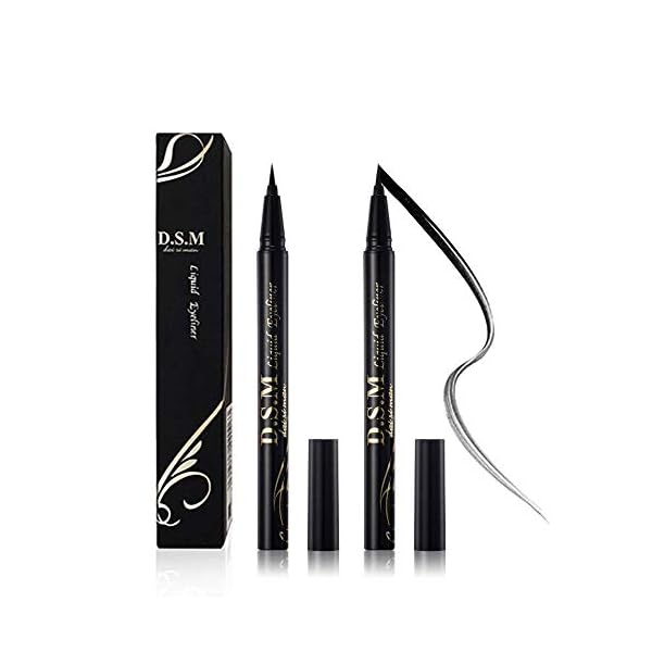 SEILANC Waterproof Liquid Eyeliner Long Lasting&Smudgeproof Eye Liner 2 Packs Precise Eyeliner Pen for All Day with Slim Tip, Black