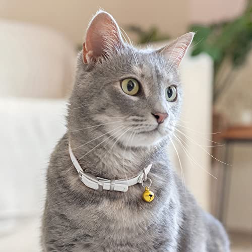Image of Soft Leather Cat Collar with Safety Elastic Strap - White
