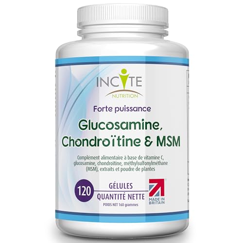 Incite Nutrition Complexe à haute résistance de glucosamine et de chondroïtine avec MSM, vitamine C, gingembre, églantier et curcuma pour les soins des articulations | 120 capsules Premium