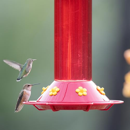 Perky-Pet 409 Hummer’s Favorite Red Plastic Hummingbird Feeder – 30 oz - Thumbnail 3