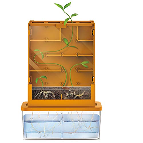 4M Great Gizmos Science Grow-A-Maze (Green) #TOP2