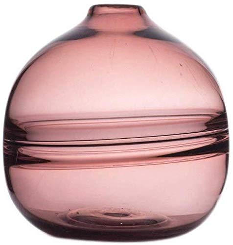 Vase en verre pour bouturage et décoration de table salon élégant