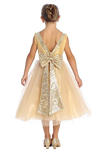 Pink Princess Made in USA Girls Christmas Dress - Flower Girl Dresses for Weddings - Toddler Daddy Daughter Dance2