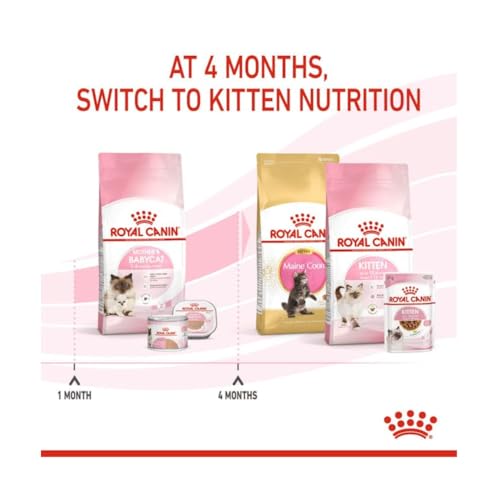 Royal Canin Mother & Babycat Trockenfutter | Doppelpack | 2 x 400 g | Für tragende und säugende Katzen | Alleinfuttermittel speziell für die Mutterkatze und ihre Welpen