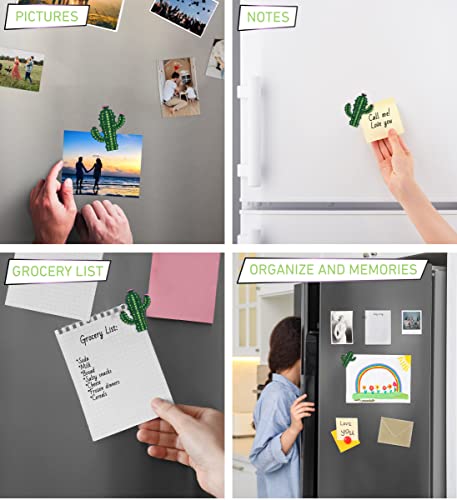 Imán Decorativo Cactus Brillante para Refrigerador miniatura 4