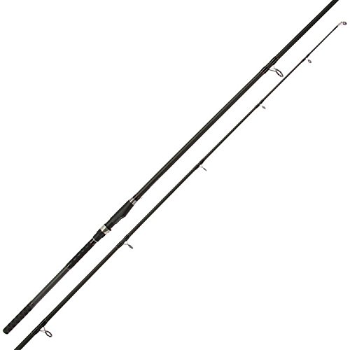 Welsrute 2 x Waller Rute 3 Meter 200g + Rolle BM 7000 mit Schnur (Fischrute Rolle Combo, Spinning, Schwarz, Silber, Rot, 3 Meter, Monofilament)