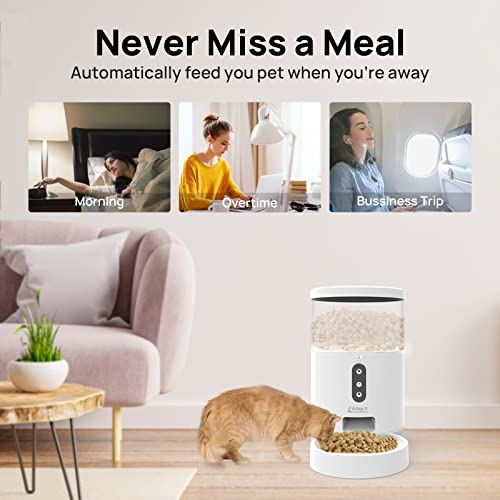 Living Enrichment Automatic Cat Feeder, Wifi Smart Pet Feeder 4L, Auto Dog Food Dispenser With Portion Control, Distribution Alarms And Voice Recorder, App Control, For Cats, Dogs & Small Pets #TOP6