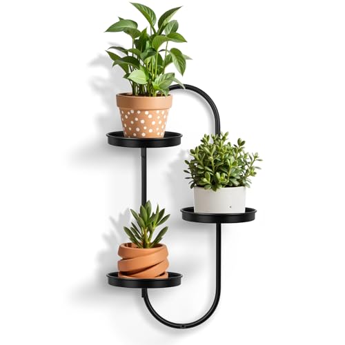 Zononoca Wall Plant Holder Indoor, Wall Planters for Indoor Plants,