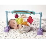 ピープル うちの赤ちゃん世界一新生児から遊べるベビージム