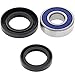 QuadBoss Steering Stem Bearings - --