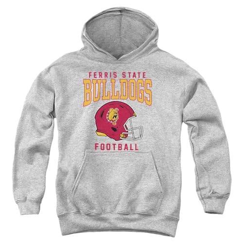 LOGOVISION Ferris State University Football Helmet YOUTH HOODED SWEATSHIRT